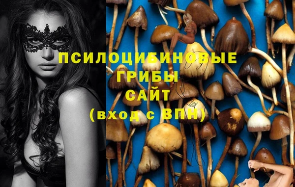 амфетамин Горнозаводск