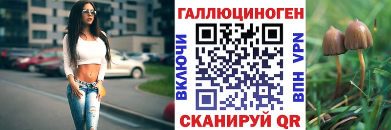 продажа наркотиков  Железногорск  Псилоцибиновые грибы мицелий 
