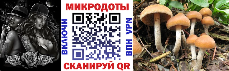 Псилоцибиновые грибы ЛСД Железногорск